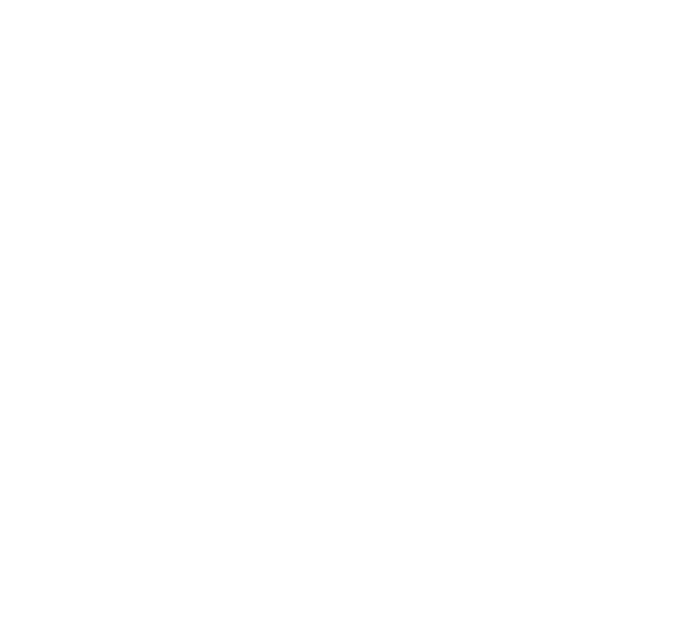 potrait_back_triangle_bg